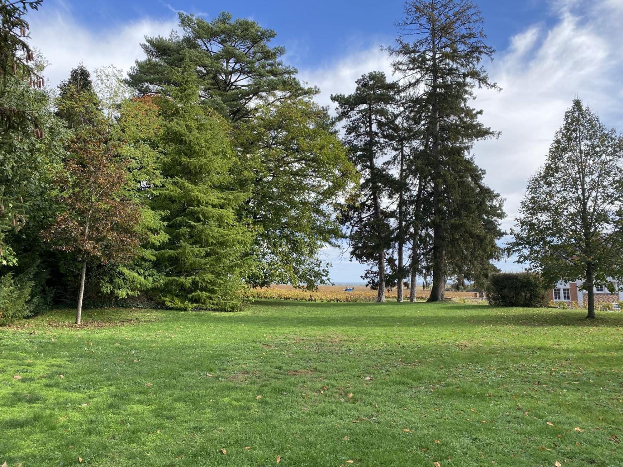 Manoir De Villamont Savigny-lès-Beaune Dış mekan fotoğraf